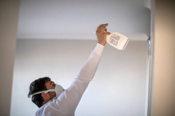 Best Toxic Mold Removal  in Croswell, MI