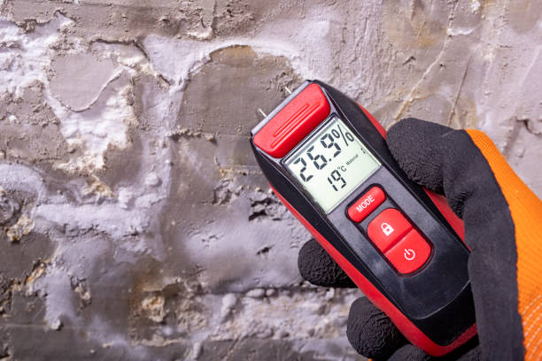 Best Professional Mold Removal  in Croswell, MI