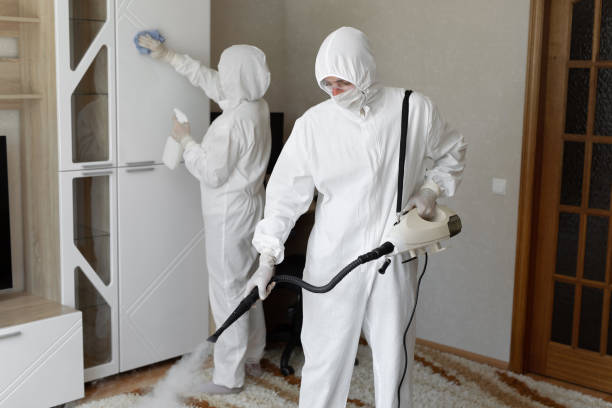 Best Commercial Mold Removal  in Croswell, MI