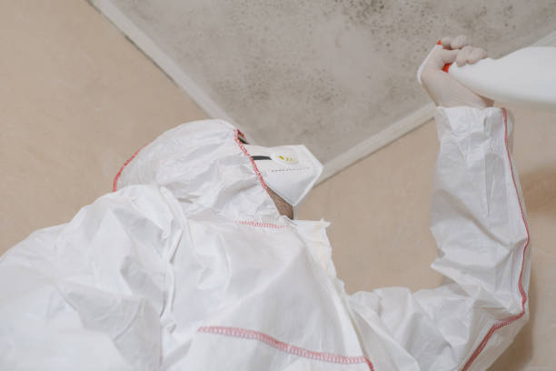 Best Mold Testing  in Croswell, MI