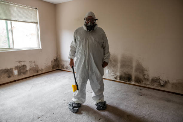 Home Mold Removal in Croswell, MI